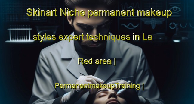 Skinart Niche permanent makeup styles expert techniques in La Red area | PermanentmakeupTraining | PermanentmakeupClasses | SkinartTraining-Mexico